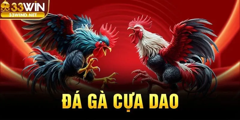 Đá gà cựa dao 33Win là sản phẩm được ưu ái