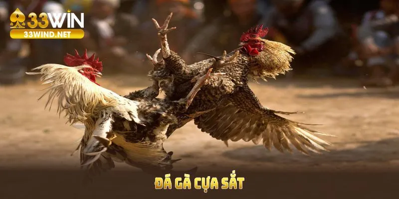 Đá gà cựa sắt 33win