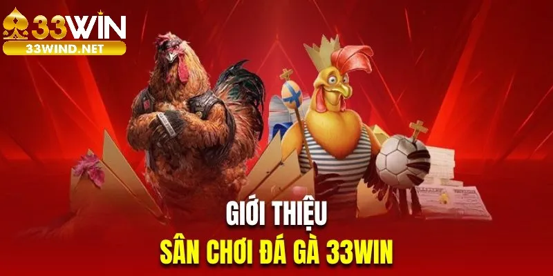 Giới thiệu sân chơi đá gà 33win đẳng cấp 2025